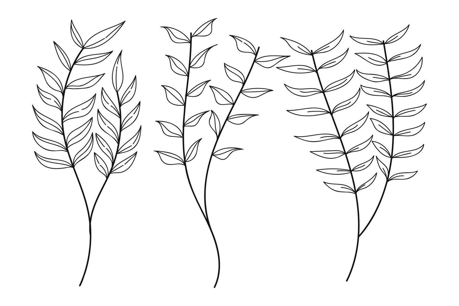 Botanical leaves line art collection. illustration. vector