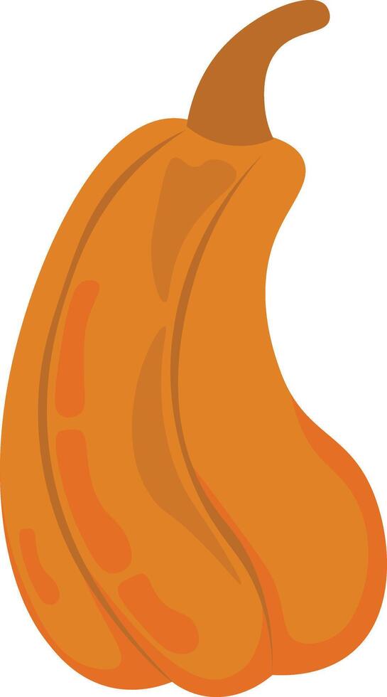Illustration of a Pumpkin vector