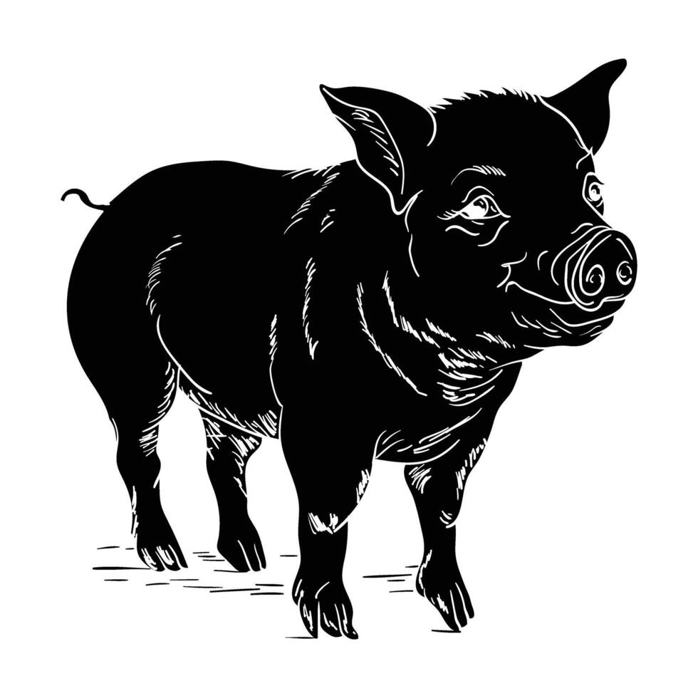 black and white illustration of a pig vector