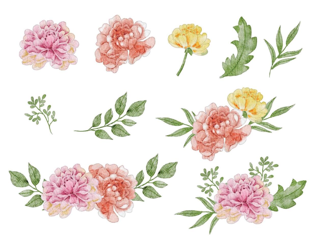 Vintage Peony Watercolor Flower Set vector