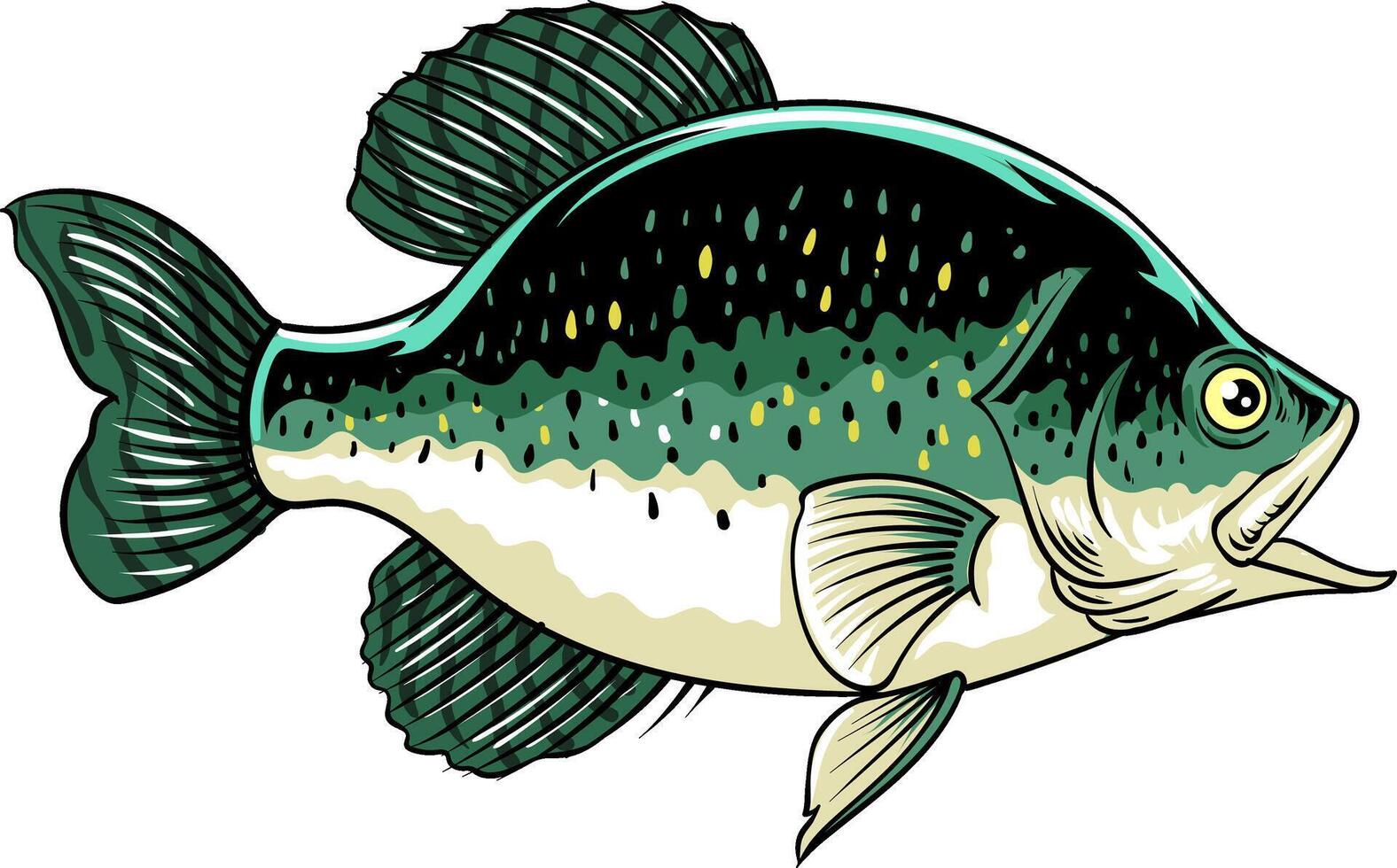 Crappie Fish Cartoon Illustration for sticker badge emblem t-shirt banner invitation vector