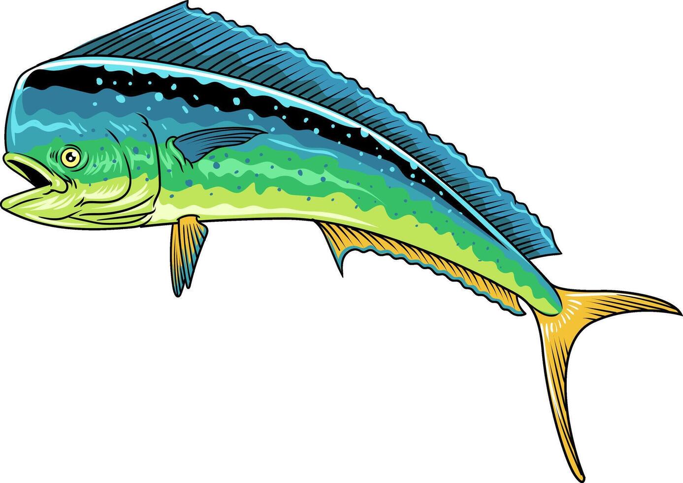 Mahi mahi Fish Cartoon Illustration vector
