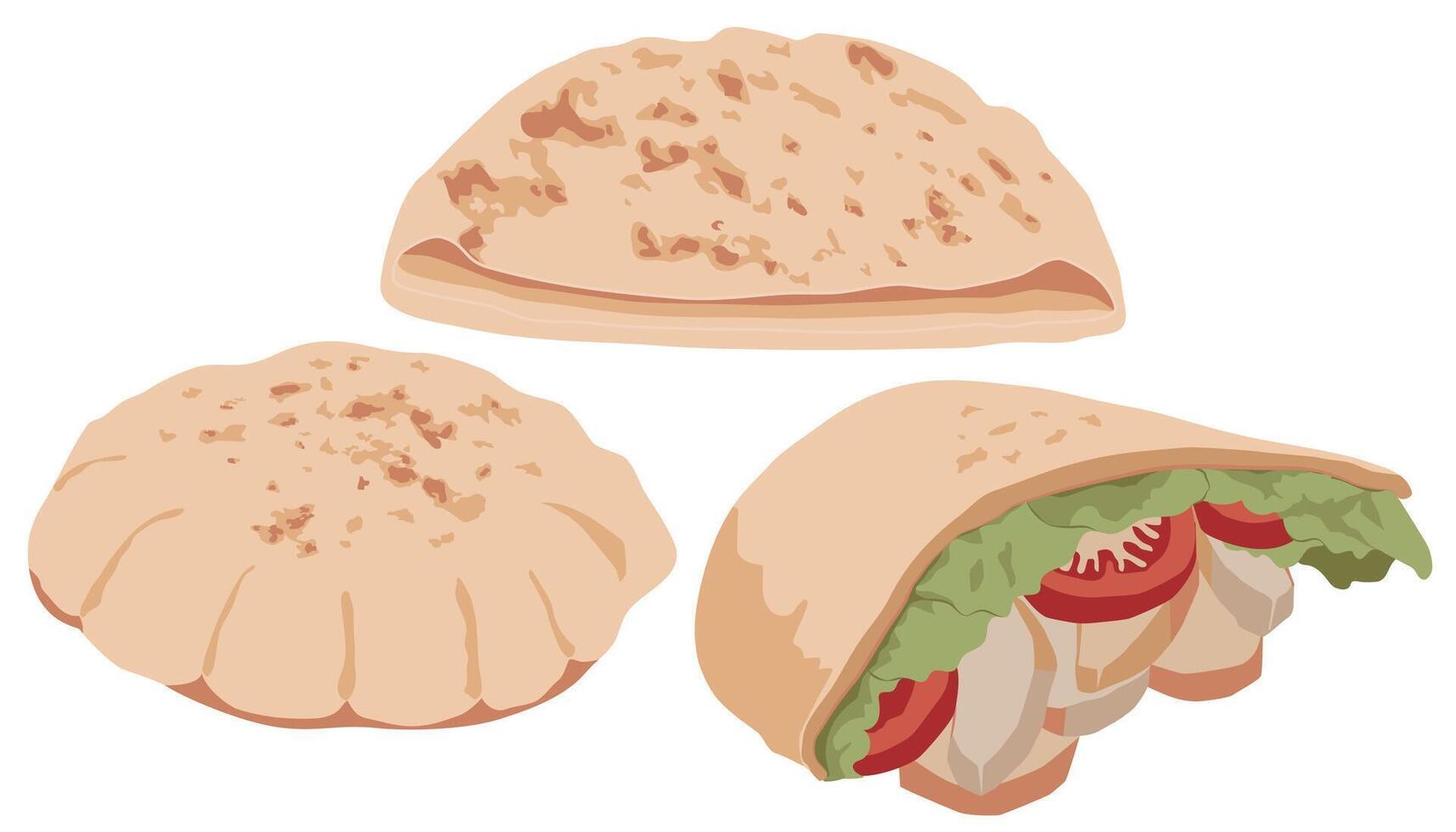 illustration of Pita vector