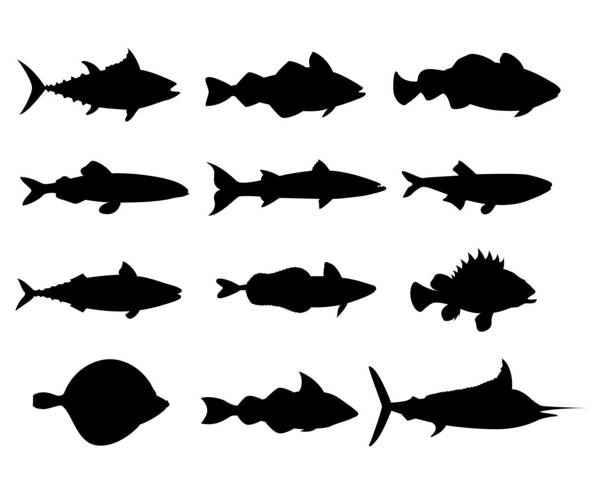 Fish underwater life silhouette seafood collection vector