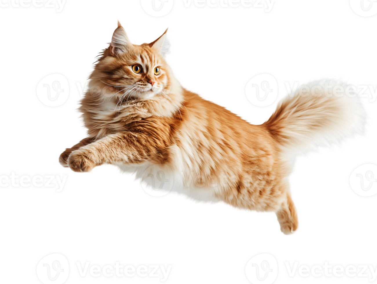 A cat is flying through the air png