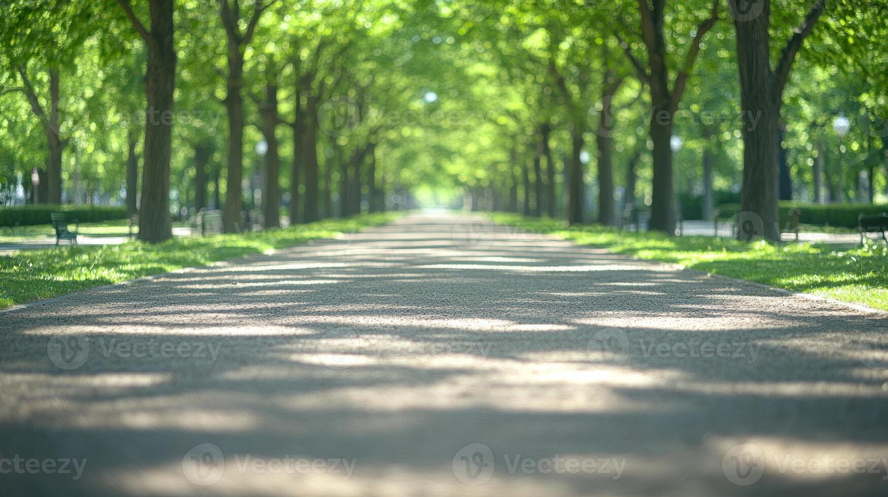 A long path bordered by vibrant green trees offers a tranquil atmosphere perfect for walking photo