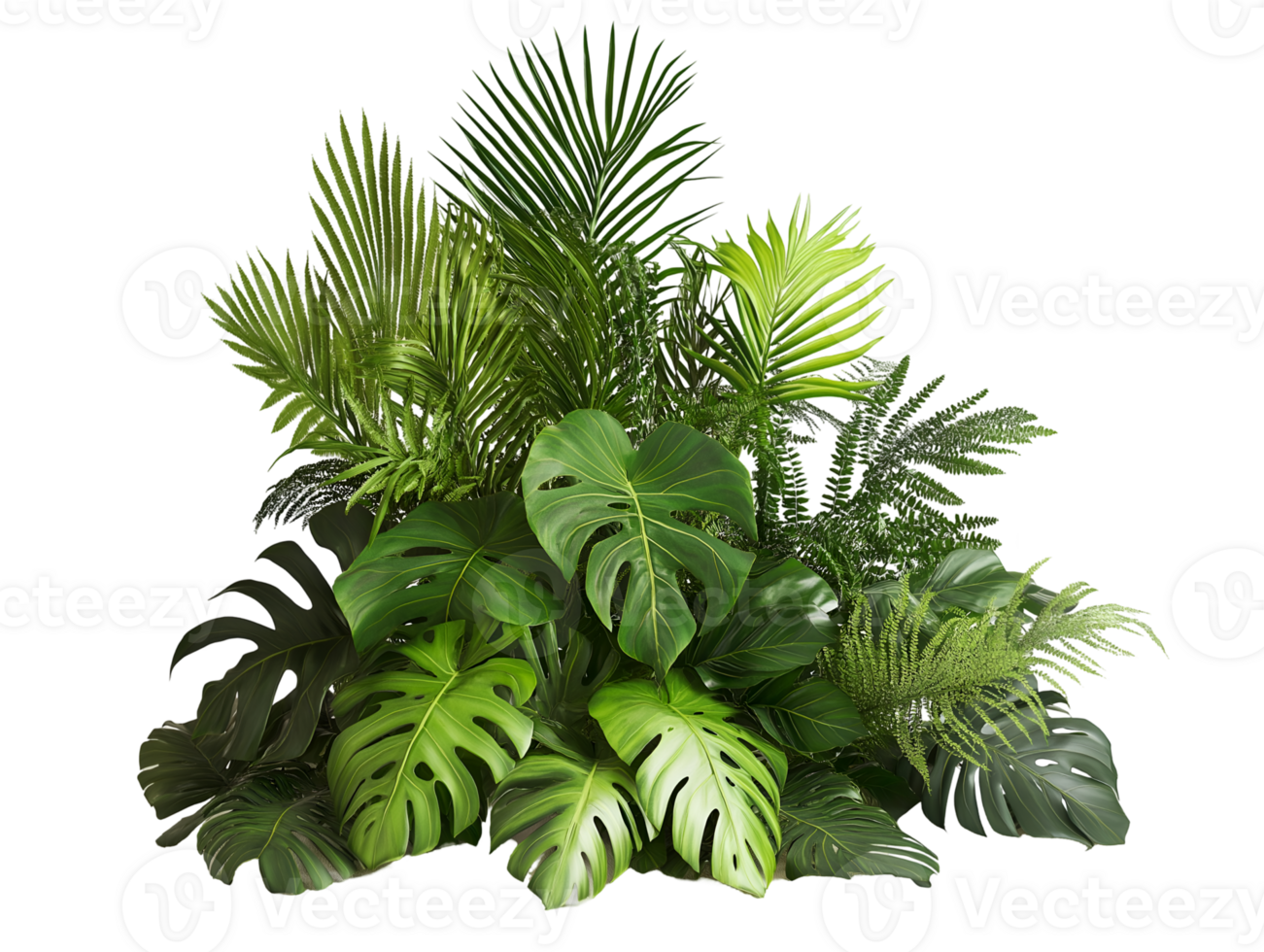 A large arrangement of tropical plants png