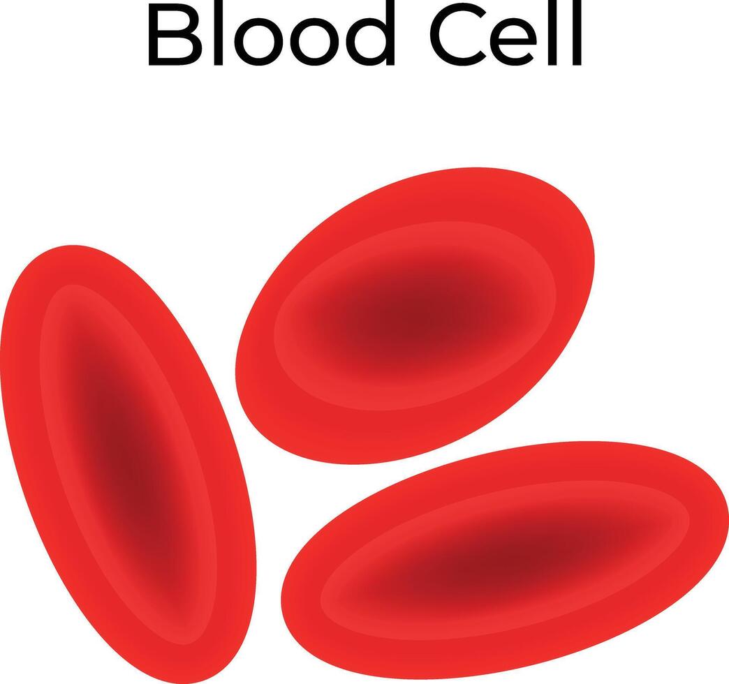 Blood Cell Science Design Illustration Diagram vector