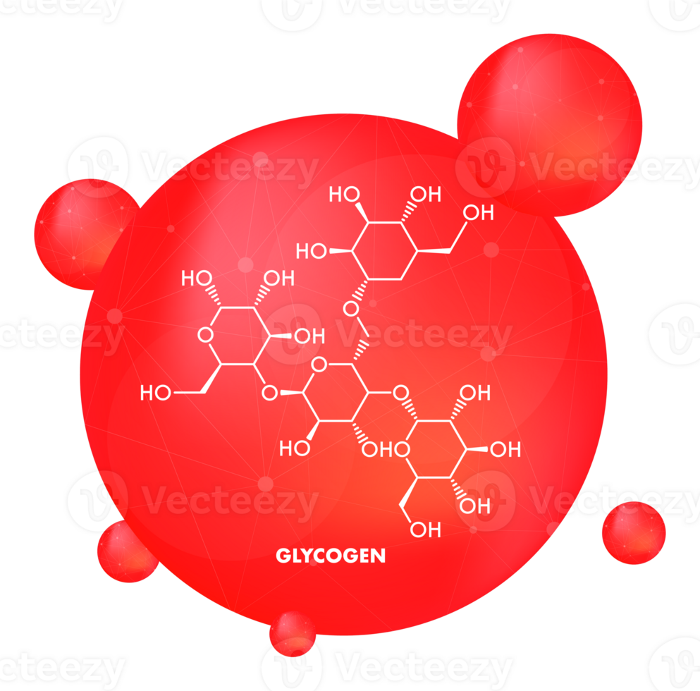 Glycogen molecule inside red blood cell forming polysaccharide glucose for energy storage png
