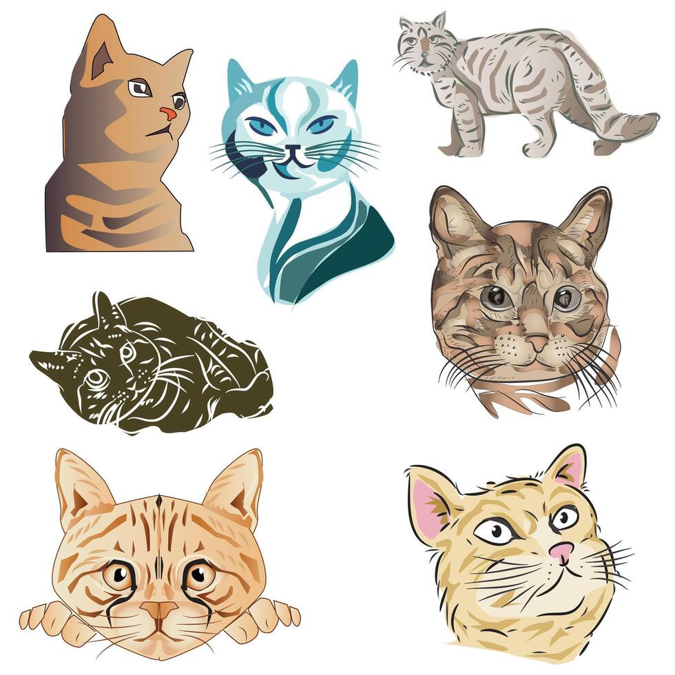 Cat Illustration Set vector