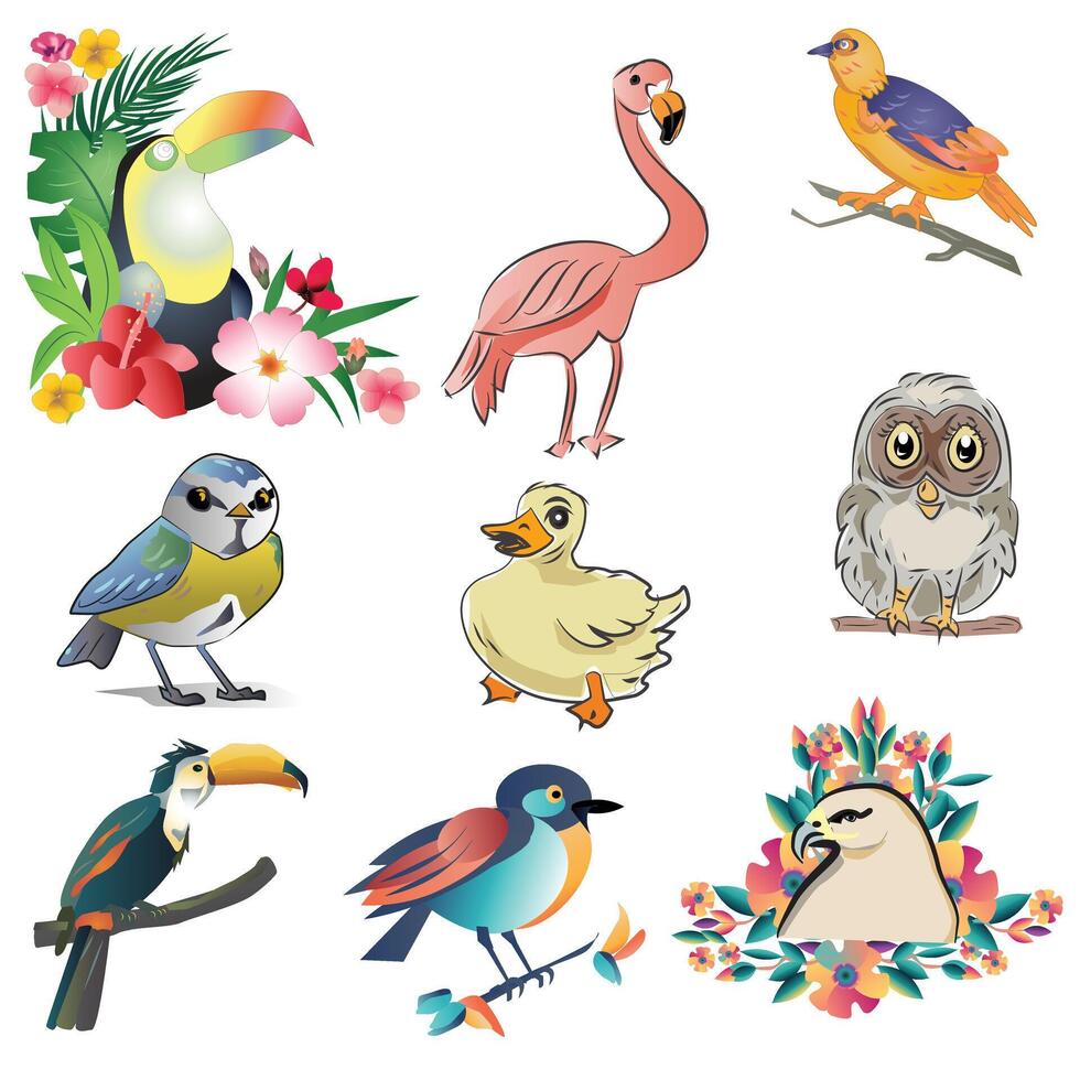 Bird Drawing and Illustration vector