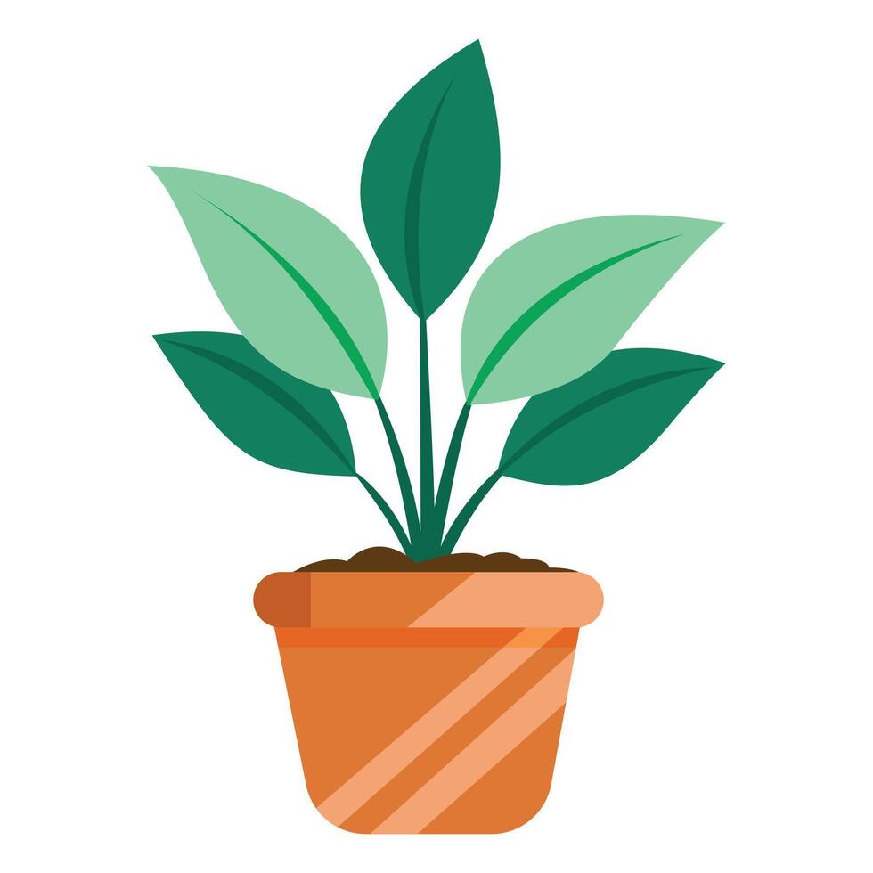 Potted Houseplant Displayed on White vector