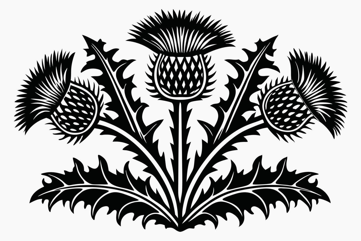 Thistle plant silhouette illustration vector