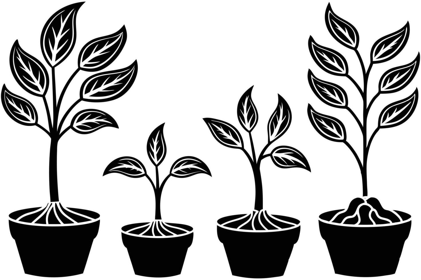 The Stages of Plant Development vector