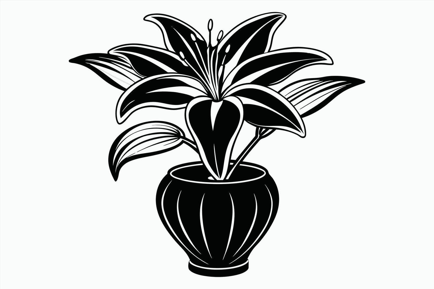 Lily vase black color line vector