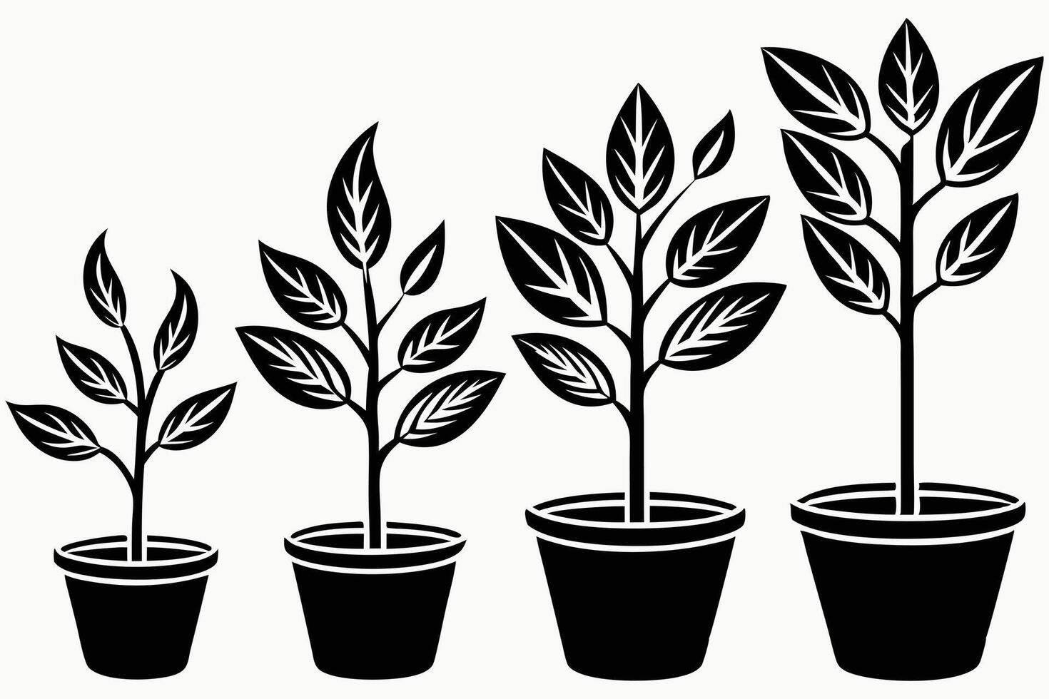 A Journey of Life Plant Growth Stages vector