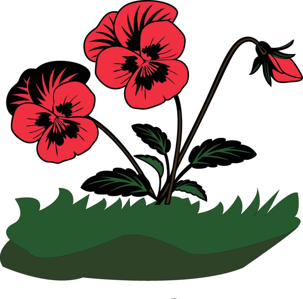 Pansy flowers black outline vector