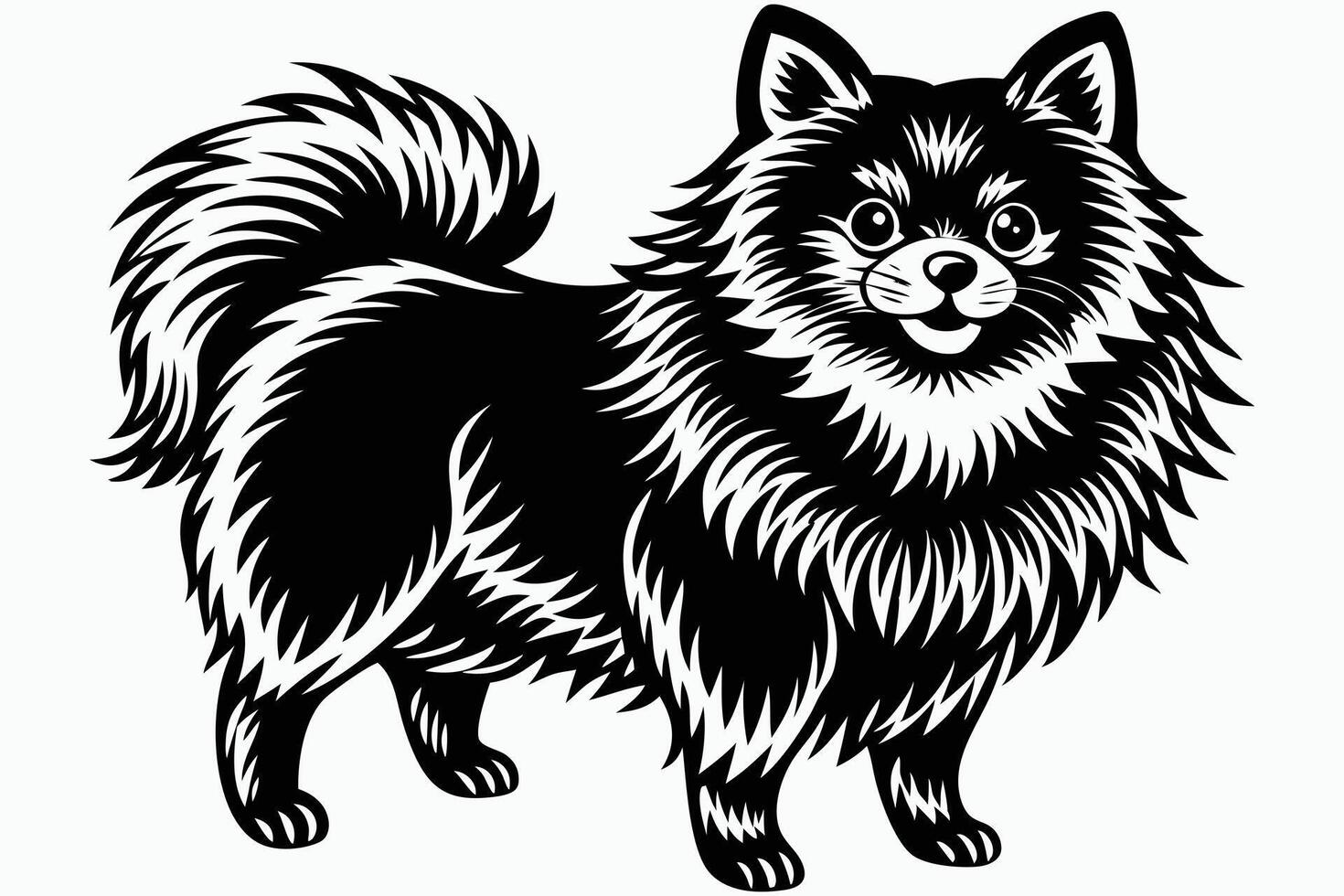 Exploring the Pomeranian Breed vector
