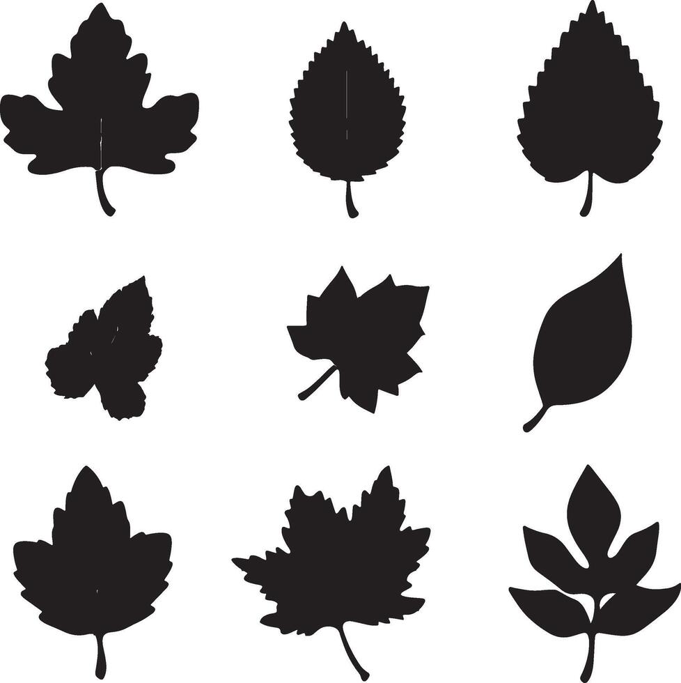 a set of black silhouettes of leaves vector