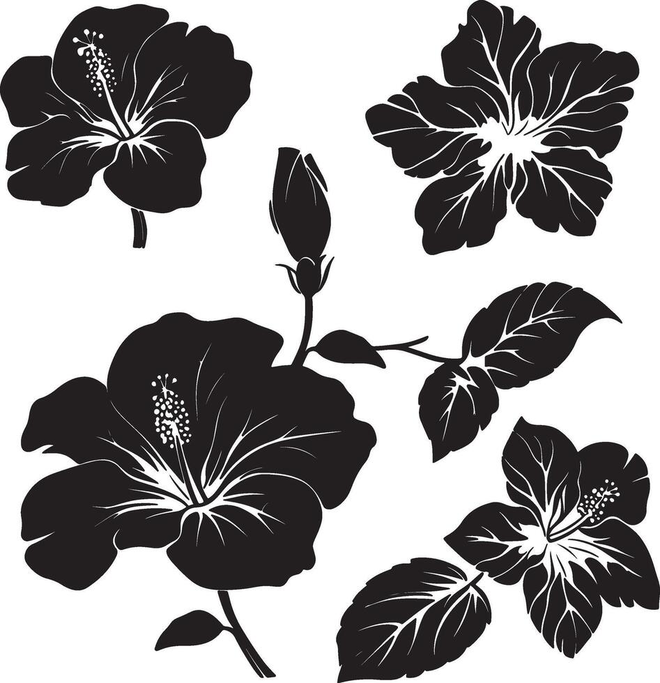 black and white hibiscus flowers on a white background vector