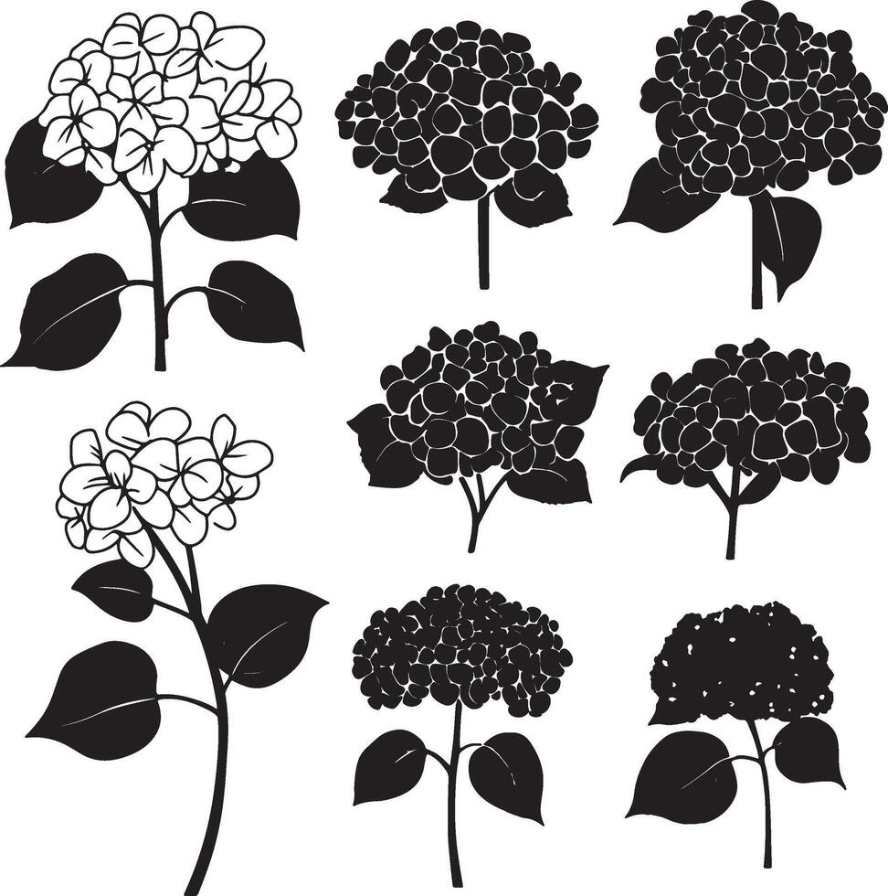 A collection of black and white of flowers and leaves. vector