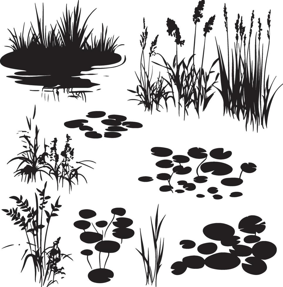 silhouettes of plants and water lilies vector