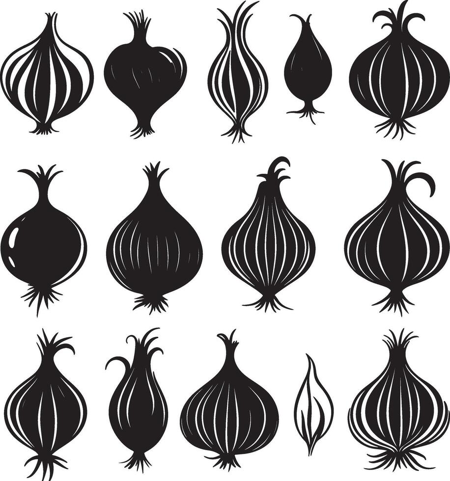 An assortment of different onion varieties. vector