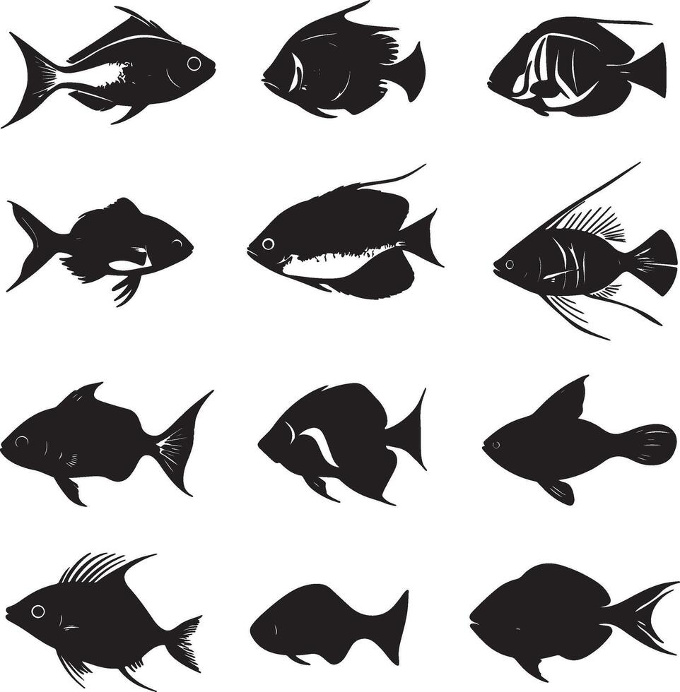 various types of fish silhouettes on a white background vector