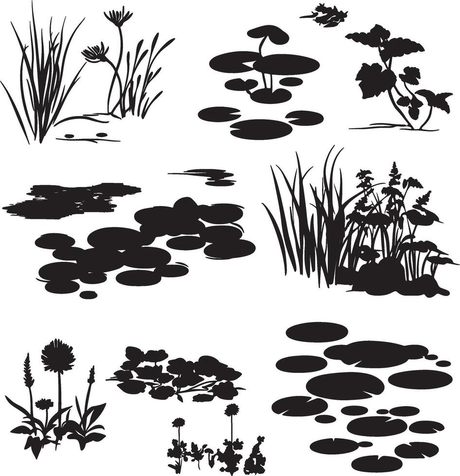 Dark silhouettes of water lilies and plants. vector