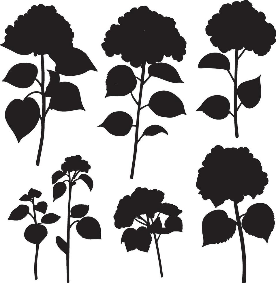 A series of black silhouettes illustrating different types of flowers and leaves. vector