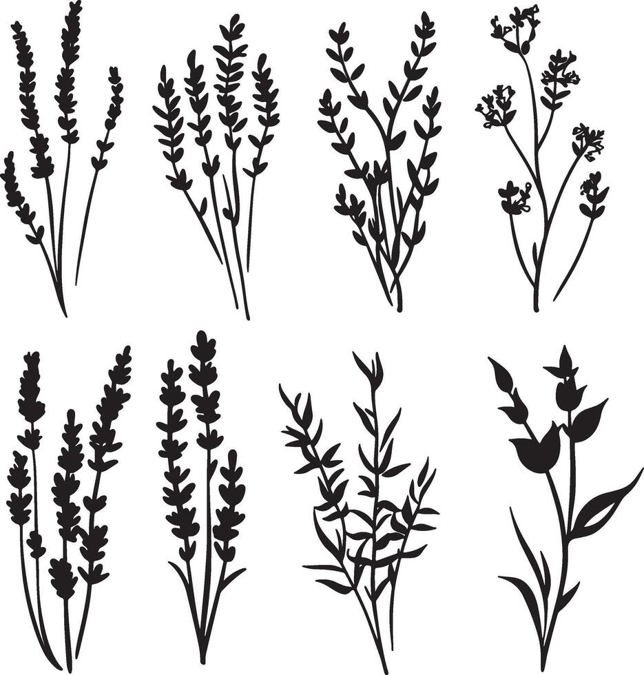 Various black and white designs showcasing silhouettes of herbs. vector