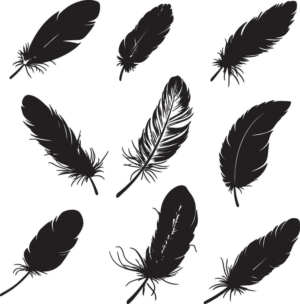 Various feather outlines displayed on a white surface. vector