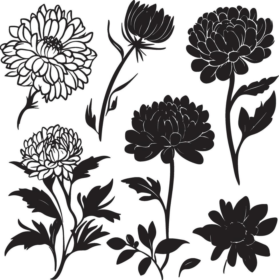 black and white flowers set vector