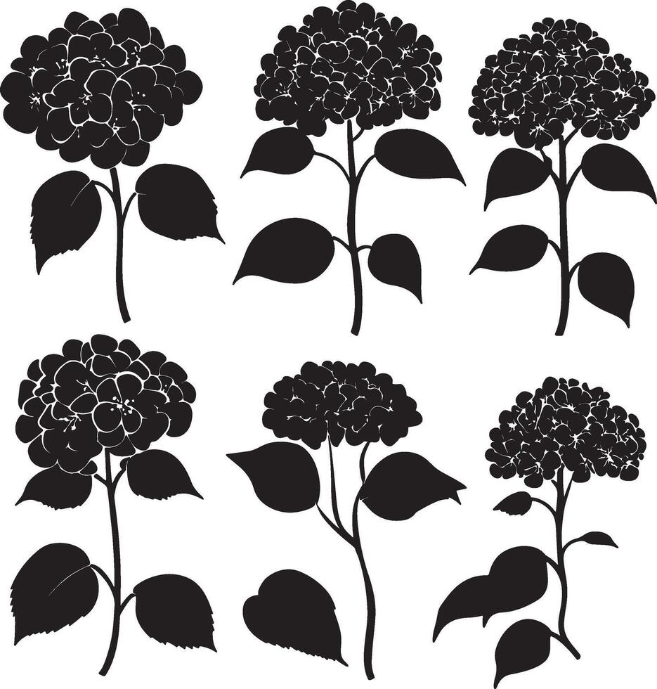 black and white silhouettes of flowers vector