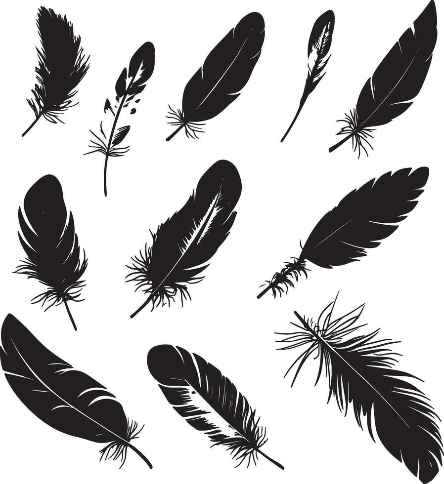 feathers set of silhouettes illustration vector