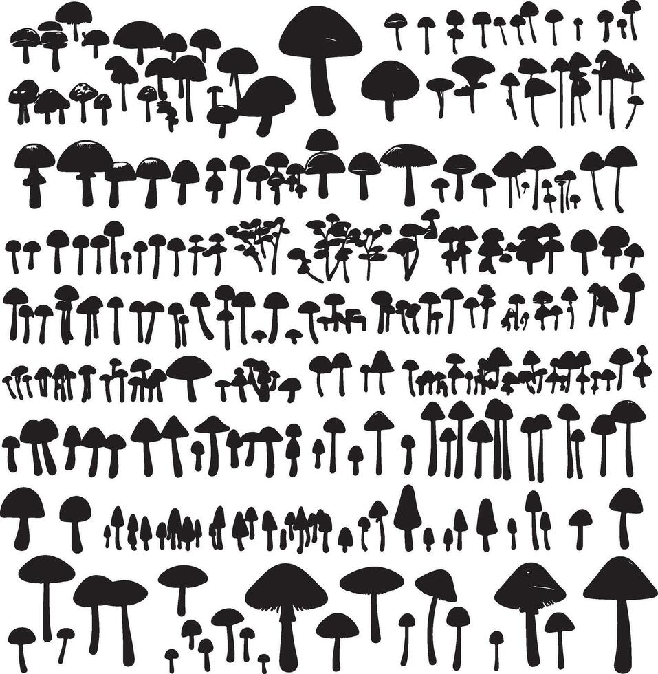 a collection of black and white mushrooms vector