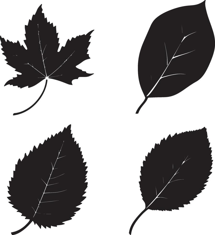 four different leaves in black and white on a white background vector