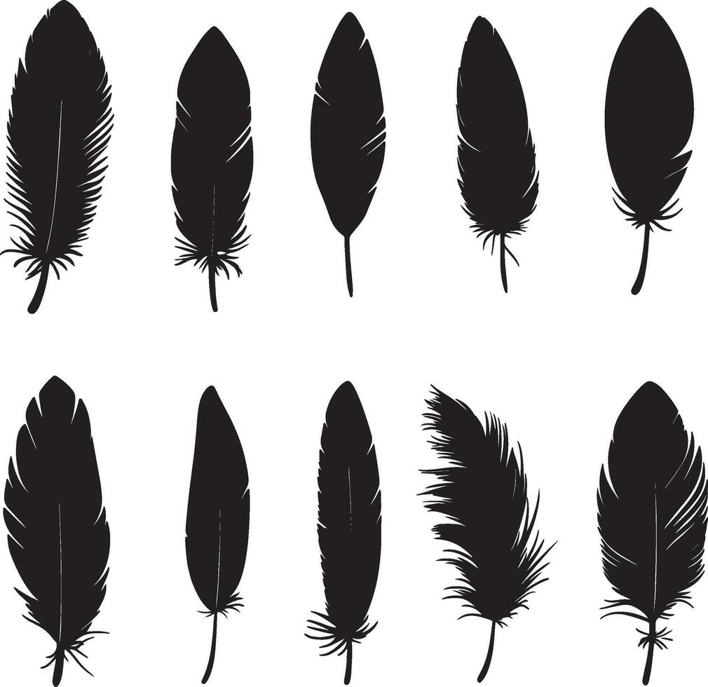 A set of isolated feather shapes against a white background. vector