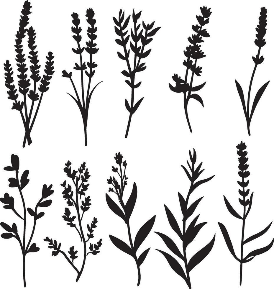 A collection of black and white silhouettes of various herbs. vector