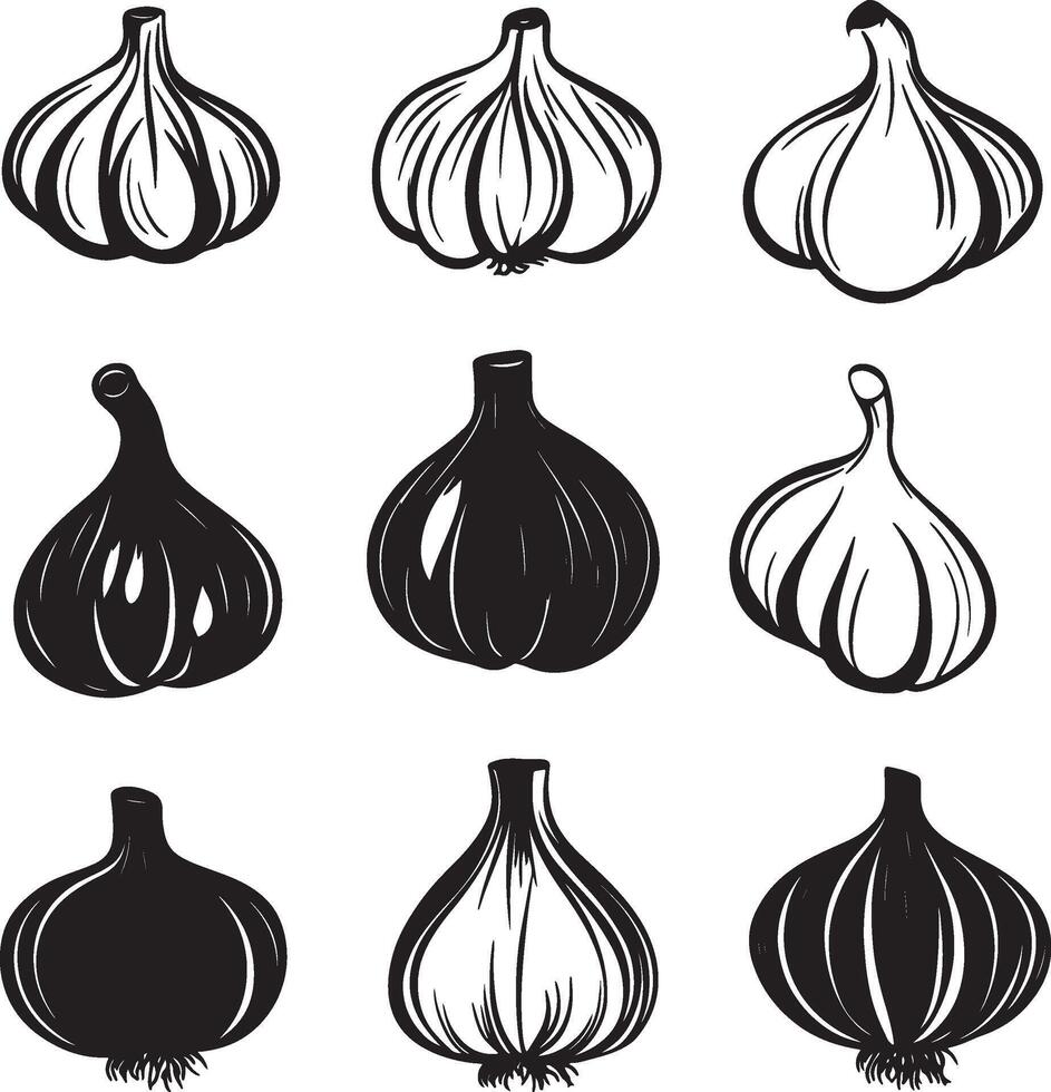 a set of black and white garlic cloves vector