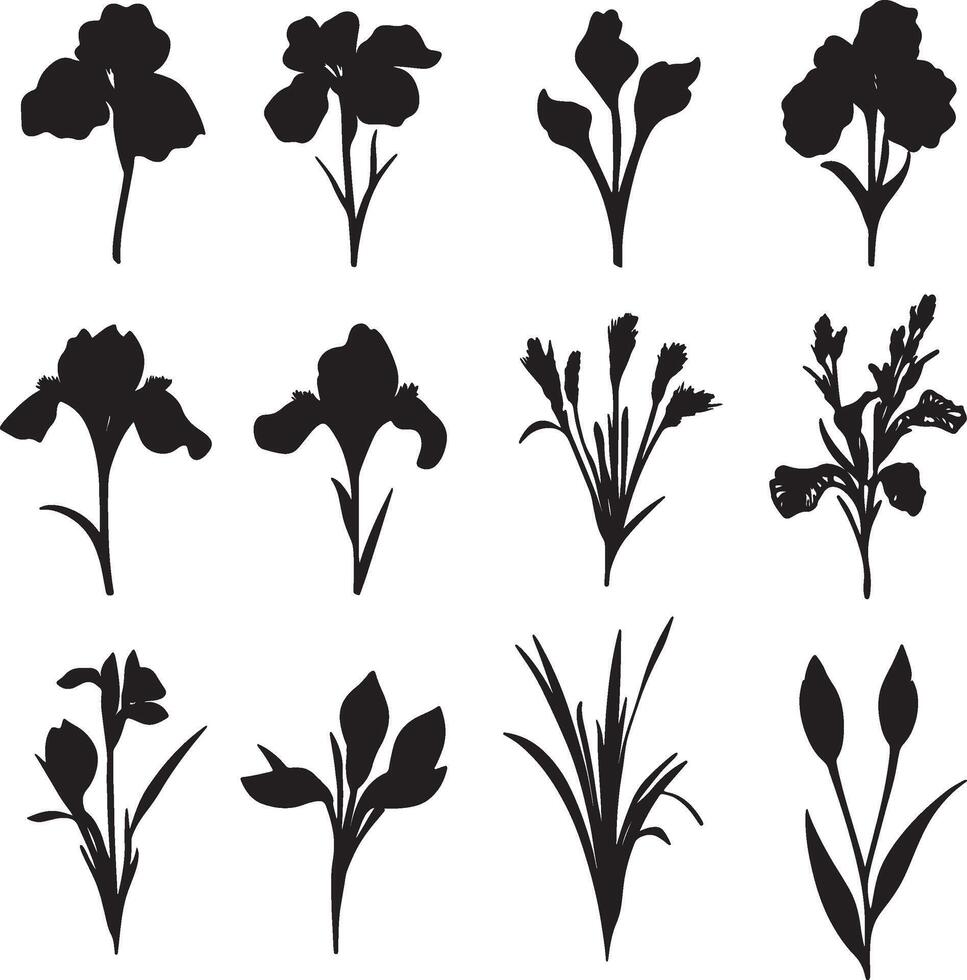 A collection of black silhouettes featuring different flowers and plants. vector