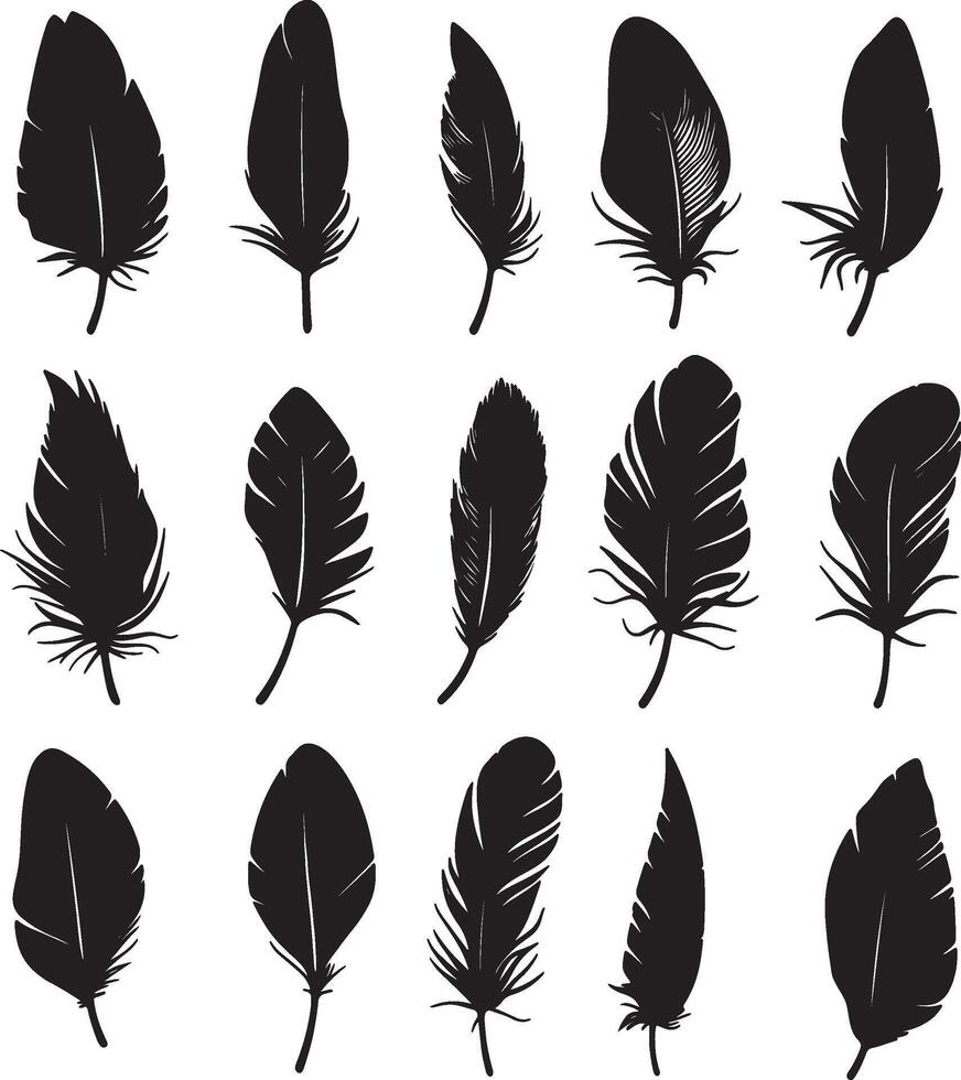 A set of illustrations featuring feather silhouettes. vector