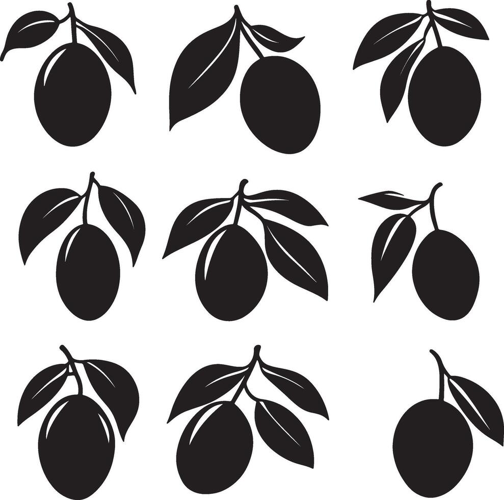 olives illustration set vector