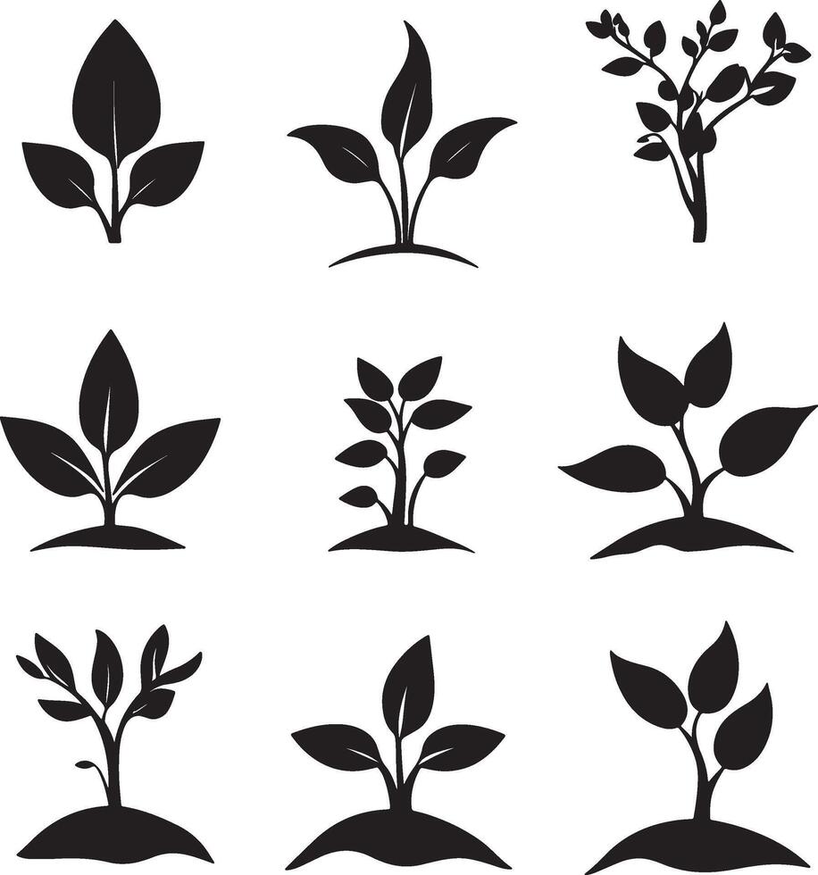plant growth icon set vector