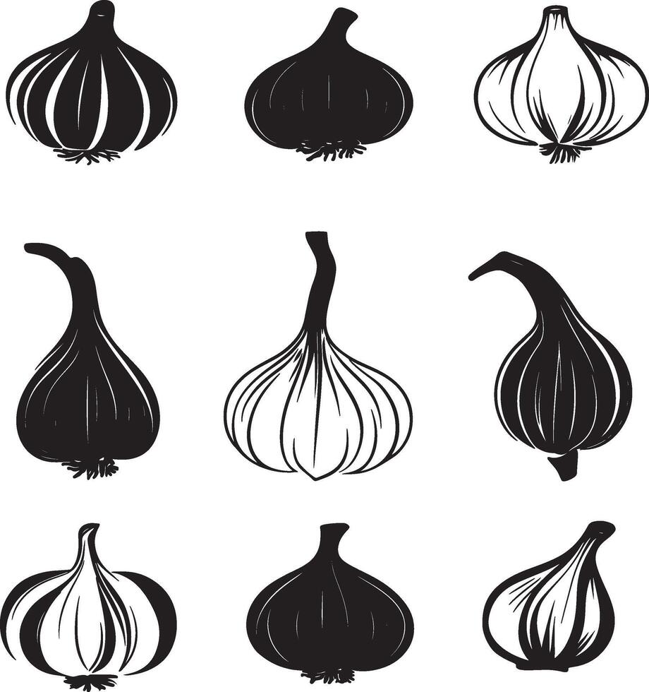A collection of different types of garlic set against a white background. vector