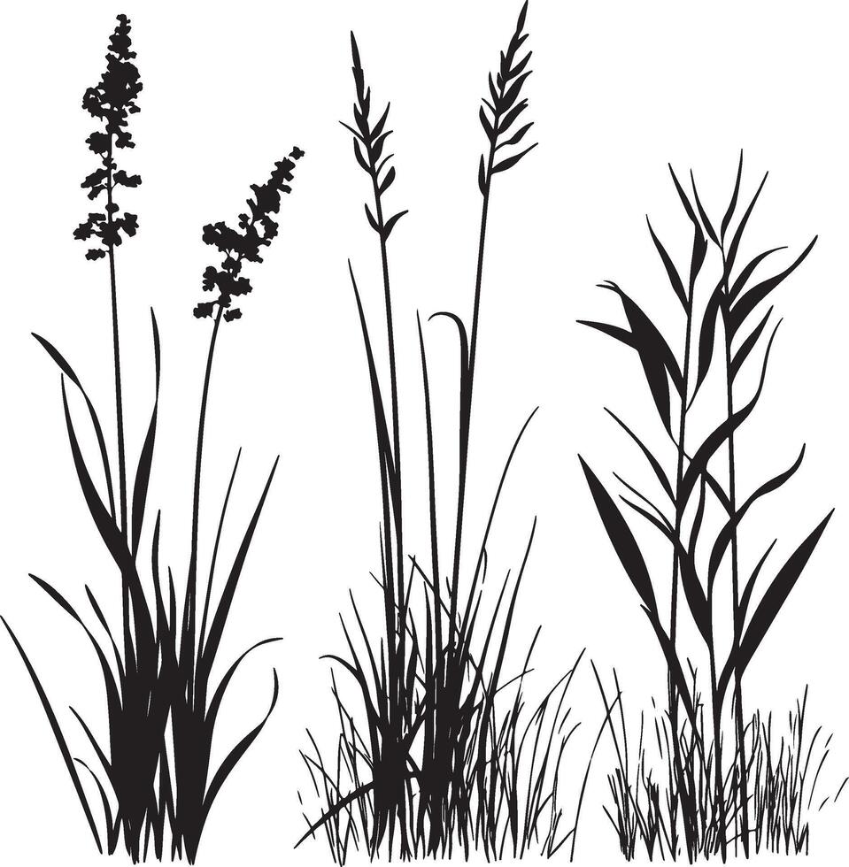three different types of grasses and flowers vector