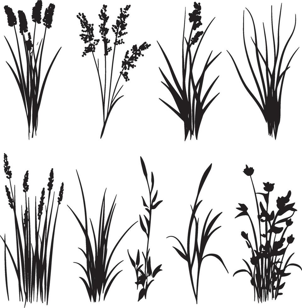 set of black and white silhouettes of grasses and wild flowers vector