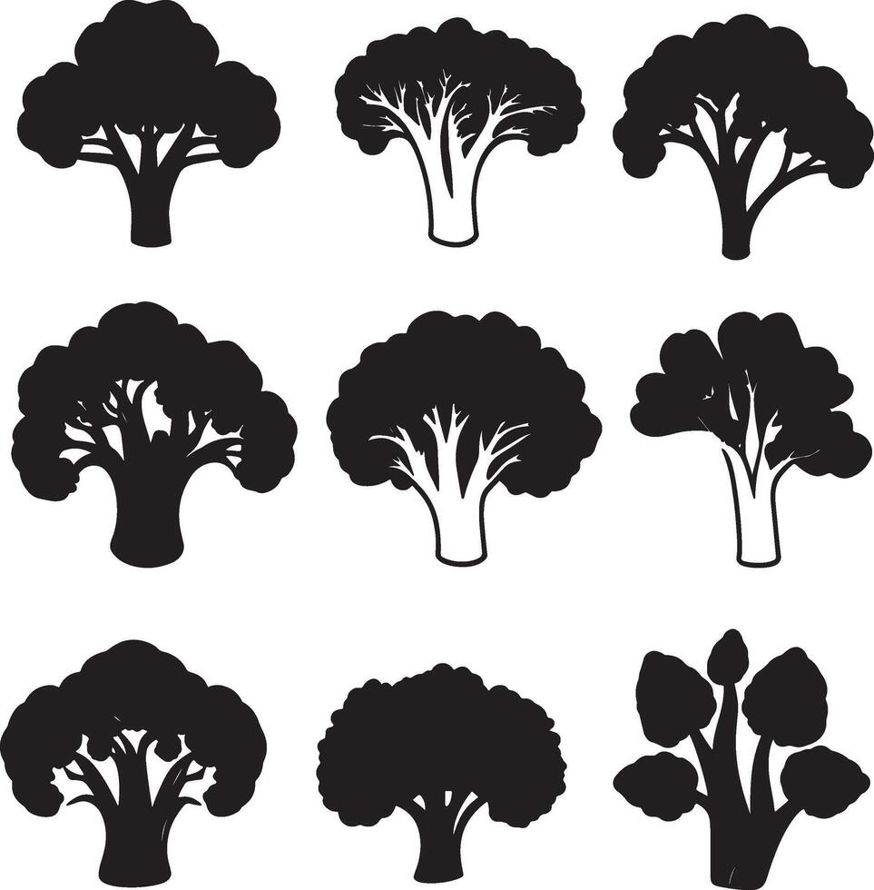 black silhouettes of broccoli trees on a white background vector