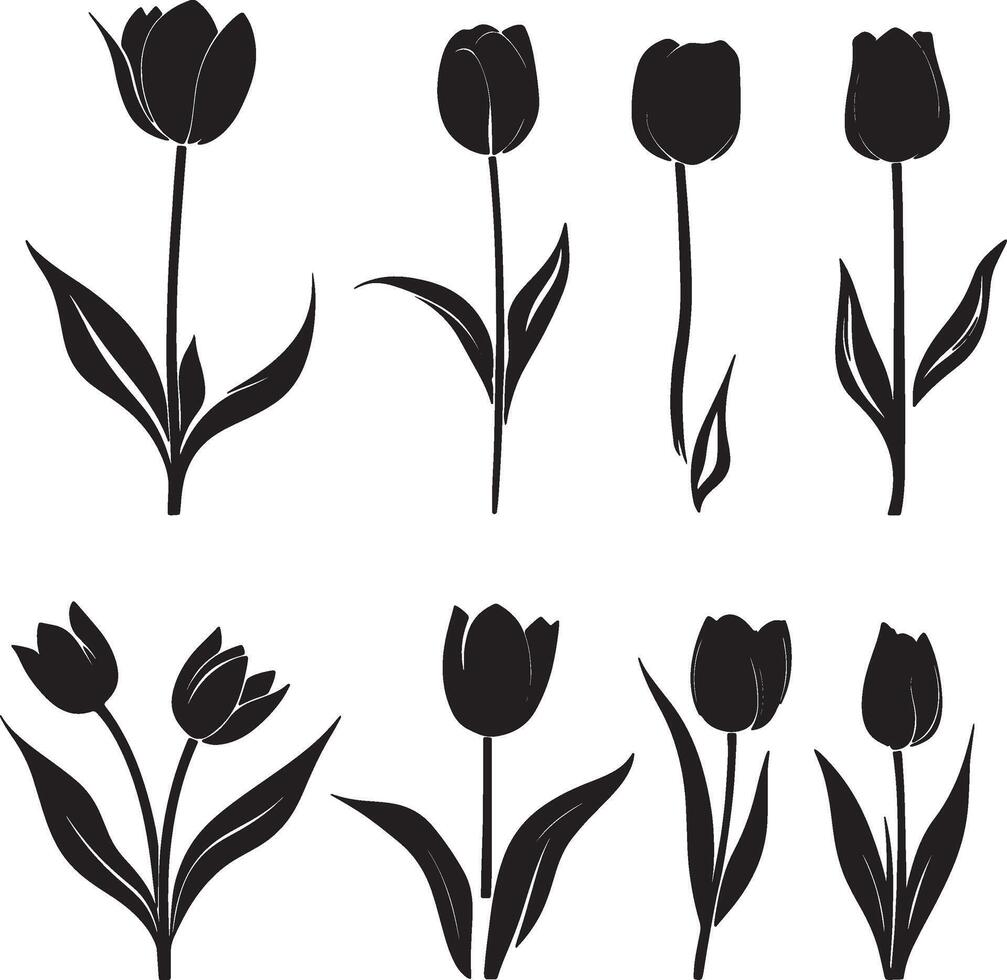 black tulip flowers set of silhouettes vector