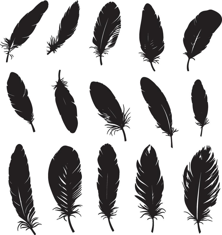 Silhouetted feathers represented in design. vector